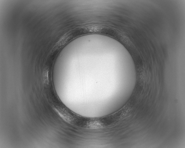 X0000056000262200509092053