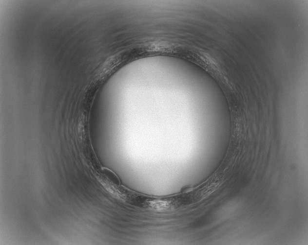 X0000056000265200509092053