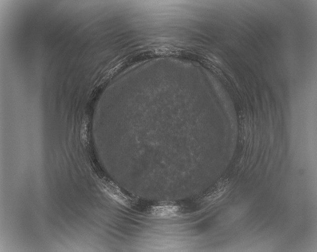 X0000056000266200509092053