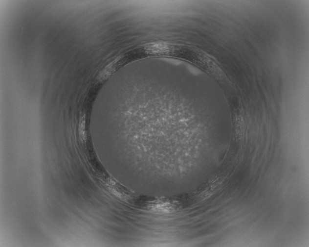 X0000056000267200509092053