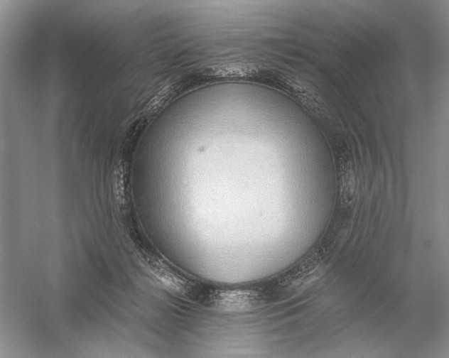 X0000056000268200509092053