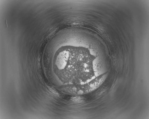 X0000056000269200509092053