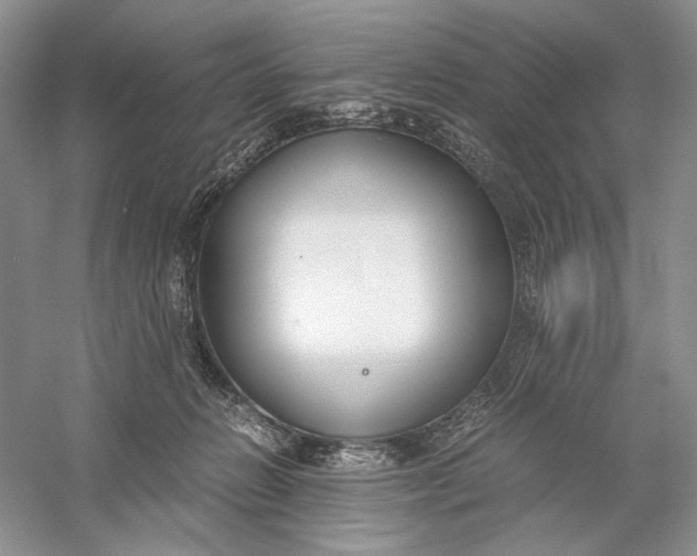 X0000056000270200509092053