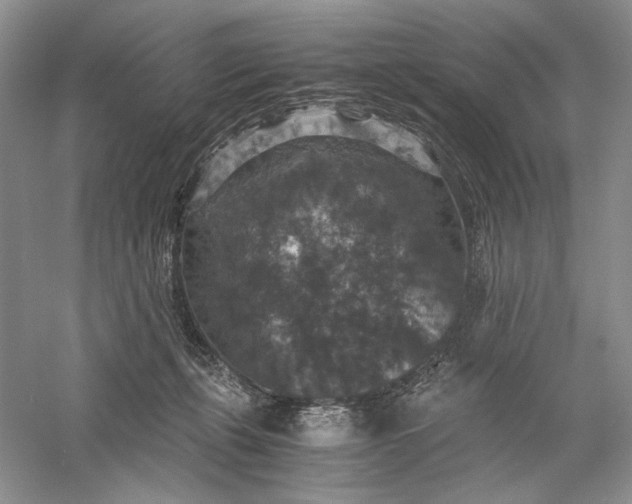 X0000056000271200509092053