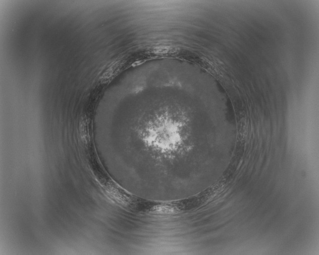 X0000056000272200509092053