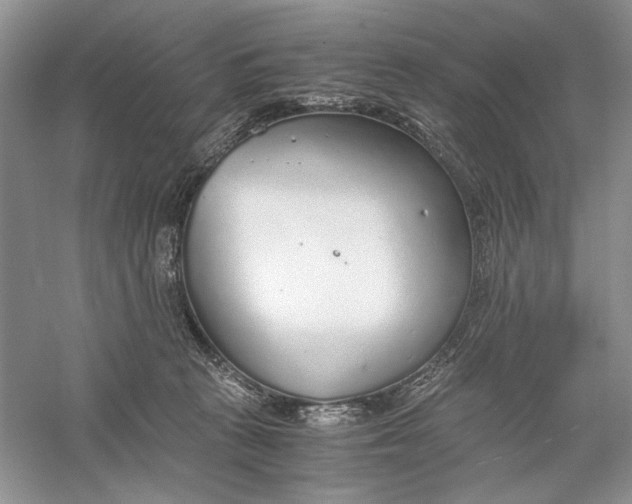 X0000056000273200509092053