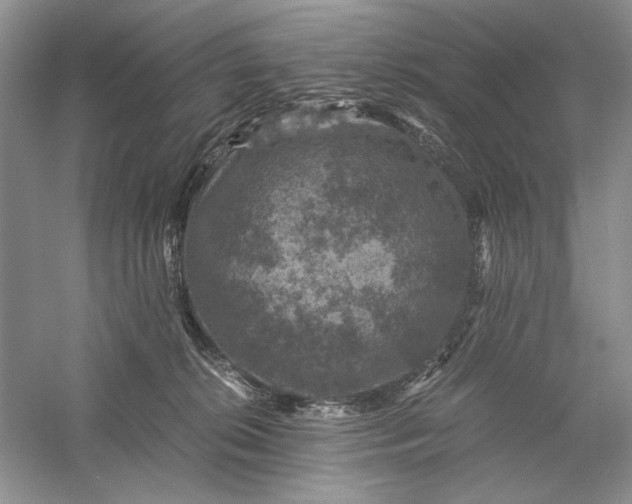 X0000056000276200509092054