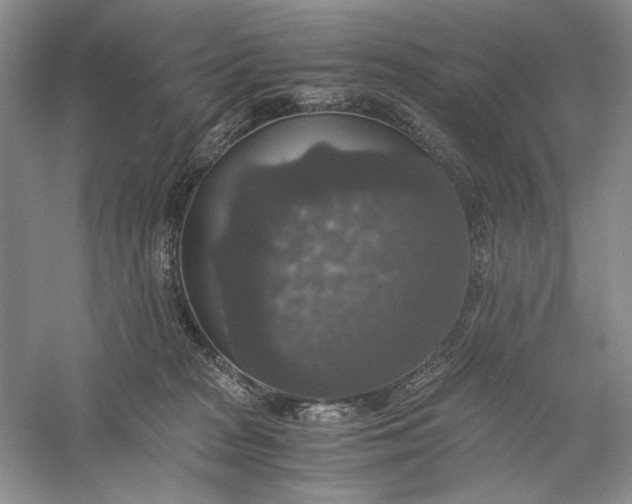 X0000056000277200509092054