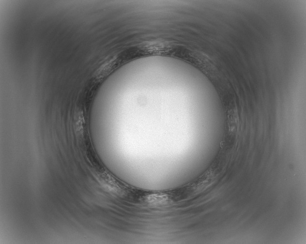 X0000056000279200509092054