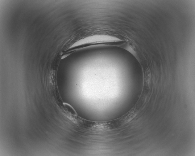 X0000056000280200509092054