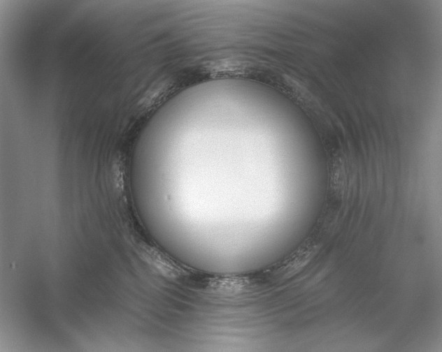 X0000056000282200509092054