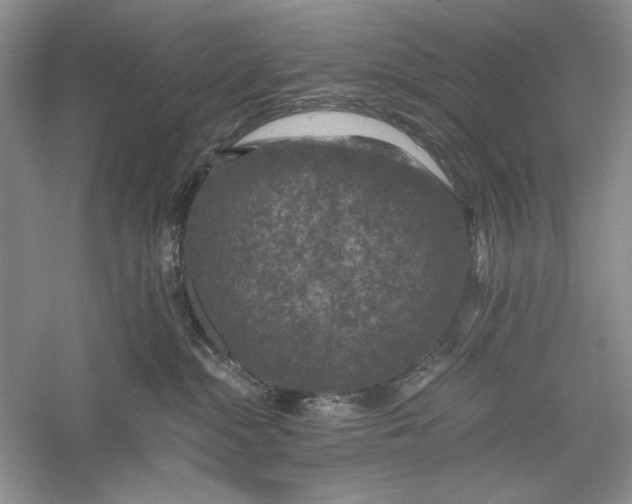 X0000056000284200509092054