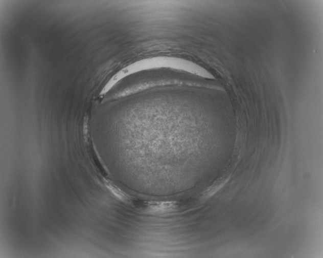 X0000056000288200509092054