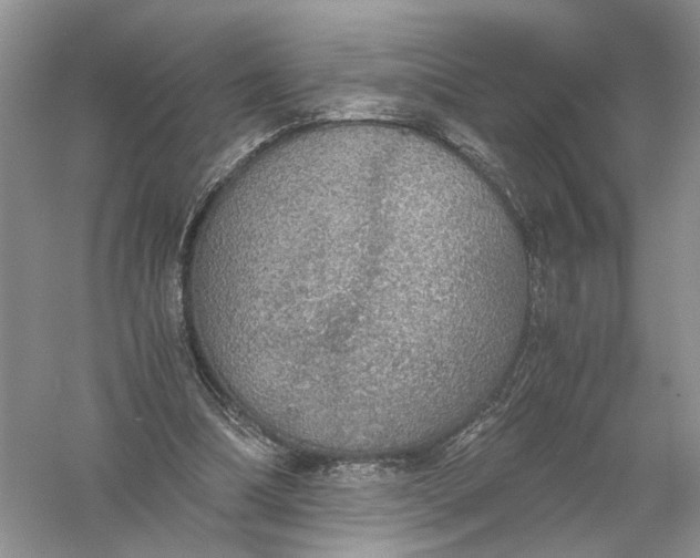 X0000056000298200509092053