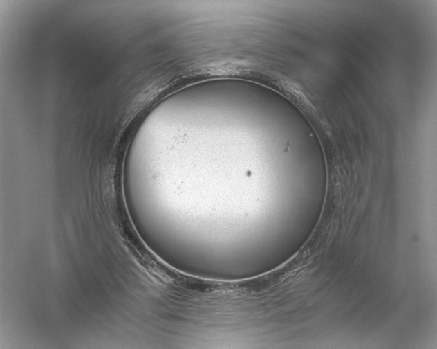 X0000056000299200509092053