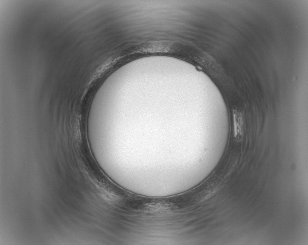 X0000056000300200509092053