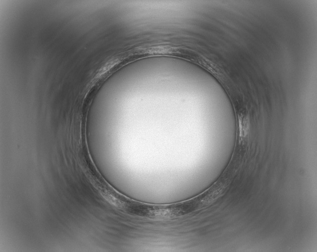 X0000056000301200509092053