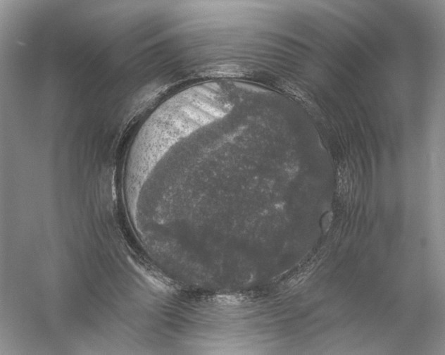 X0000056000302200509092053