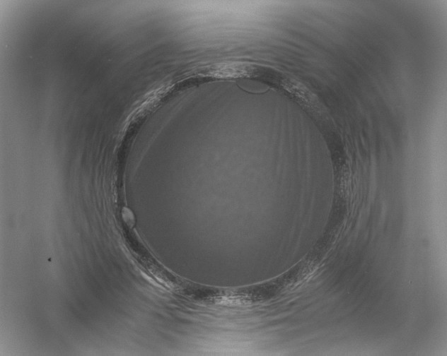 X0000056000303200509092053