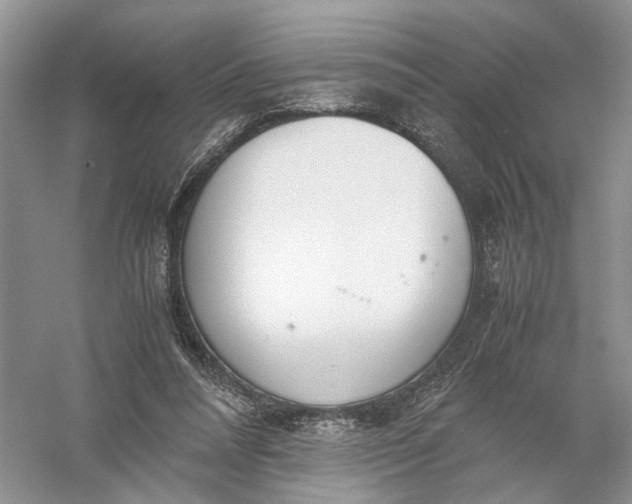 X0000056000304200509092053