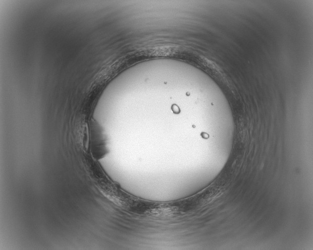 X0000056000307200509092053