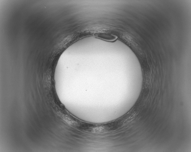 X0000056000309200509092053