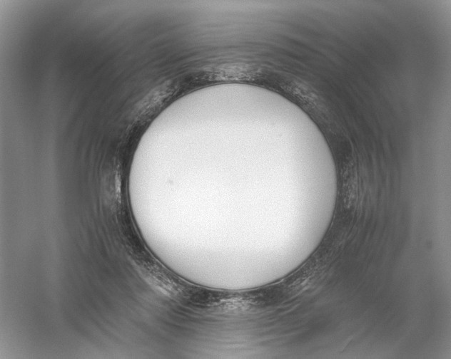 X0000056000310200509092053