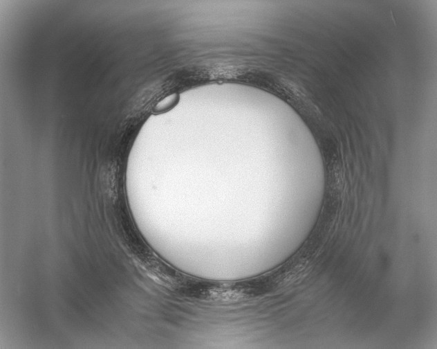 X0000056000311200509092053