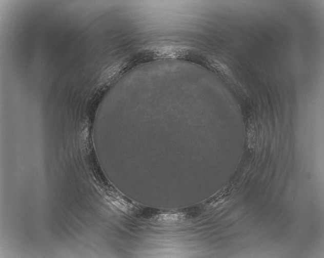 X0000056000314200509092052