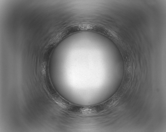 X0000056000315200509092052