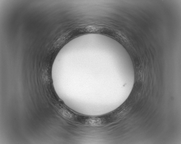 X0000056000317200509092052