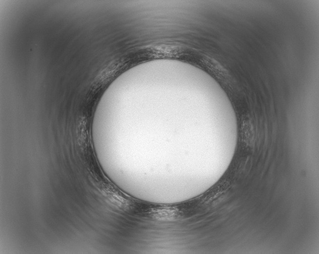 X0000056000318200509092052