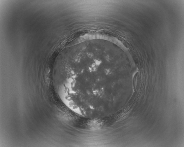 X0000056000319200509092052