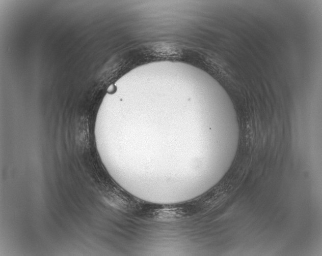 X0000056000320200509092052