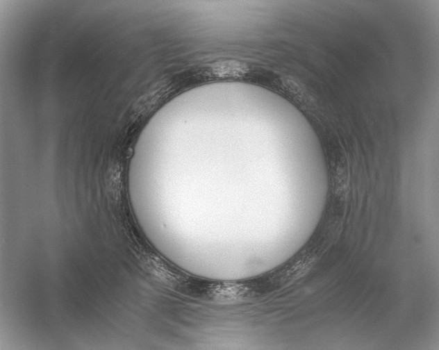 X0000056000321200509092052