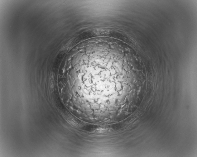 X0000056000323200509092052