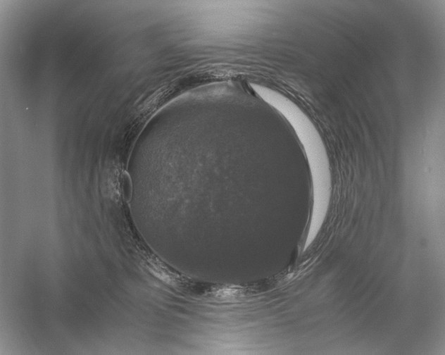 X0000056000325200509092052