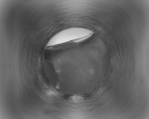 X0000056000327200509092052