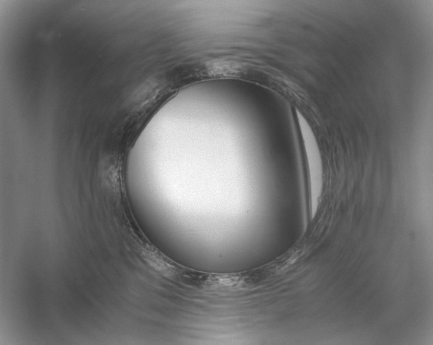 X0000056000329200509092052