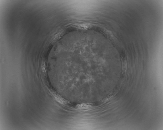 X0000056000331200509092052