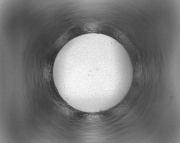 X0000056000332200509092052