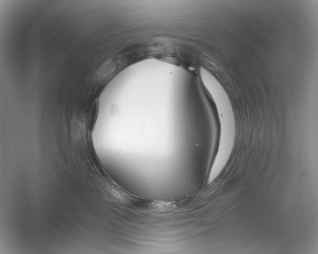 X0000056000333200509092052