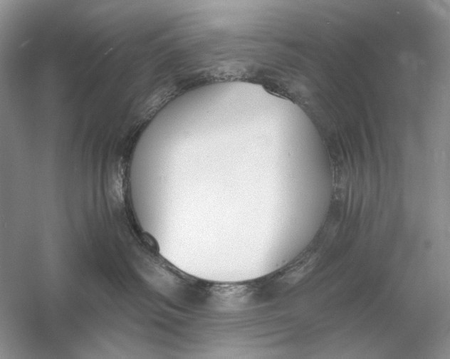 X0000056000334200509092052