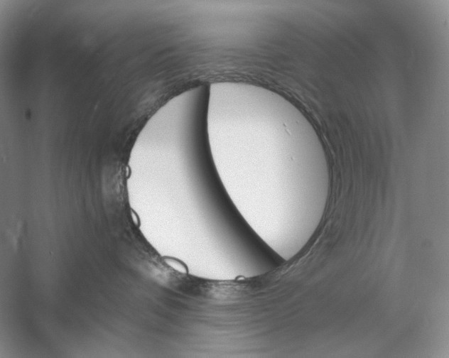 X0000056000336200509092052