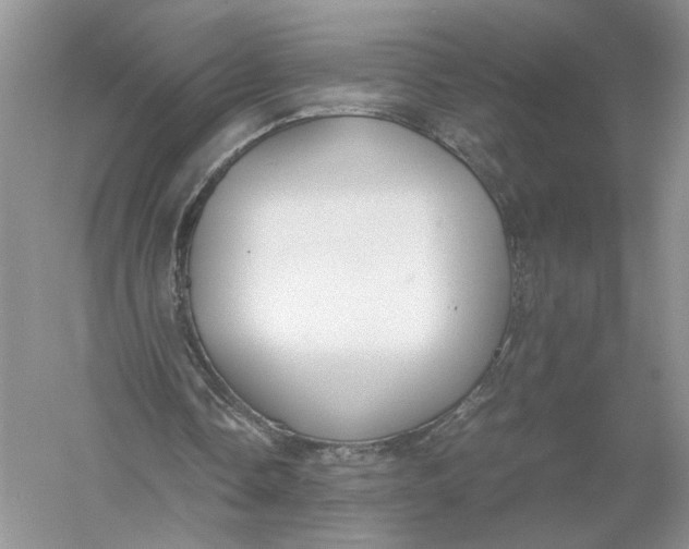 X0000056000338200509092051