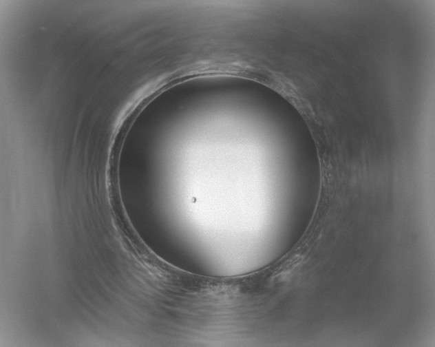 X0000056000340200509092051