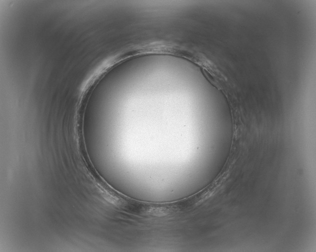 X0000056000341200509092051