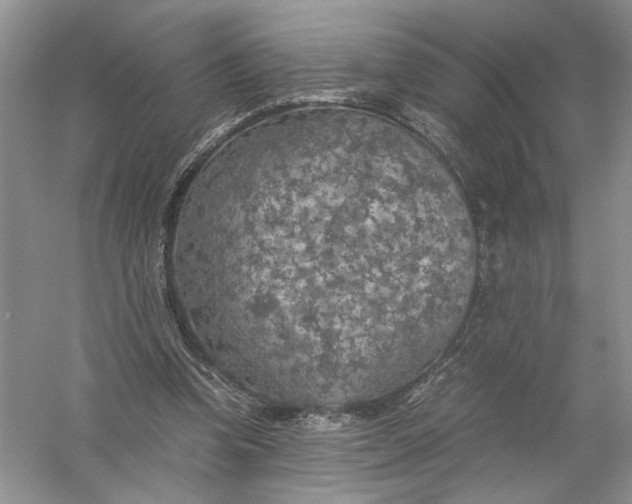 X0000056000346200509092051