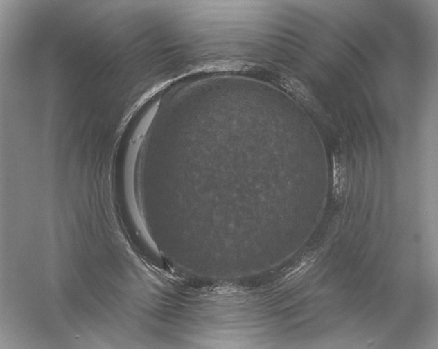 X0000056000348200509092051