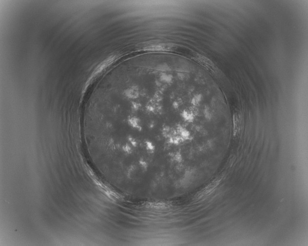 X0000056000349200509092051